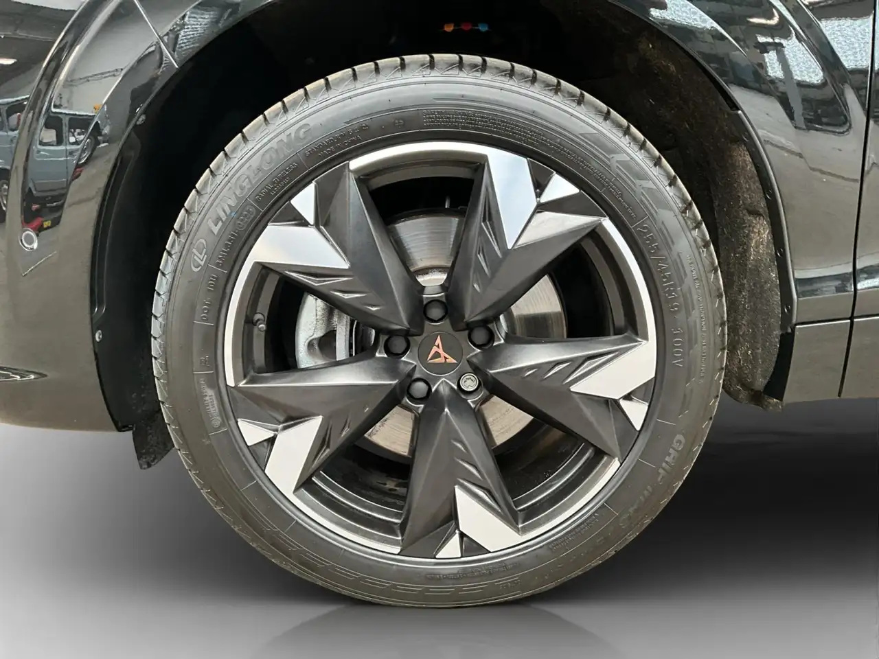 Cupra Terramar 8