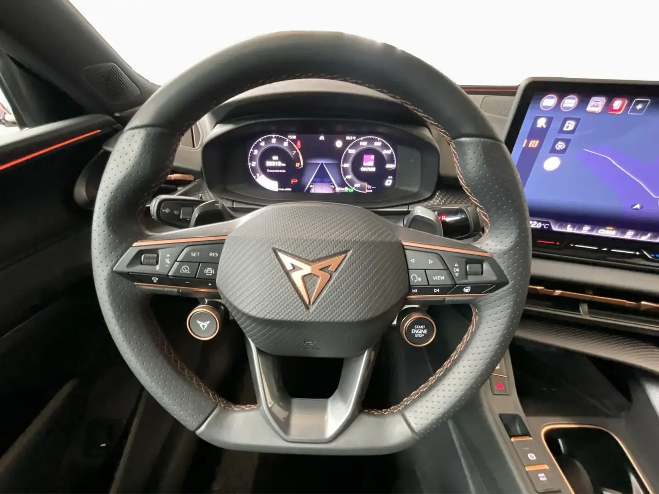 Cupra Terramar 10
