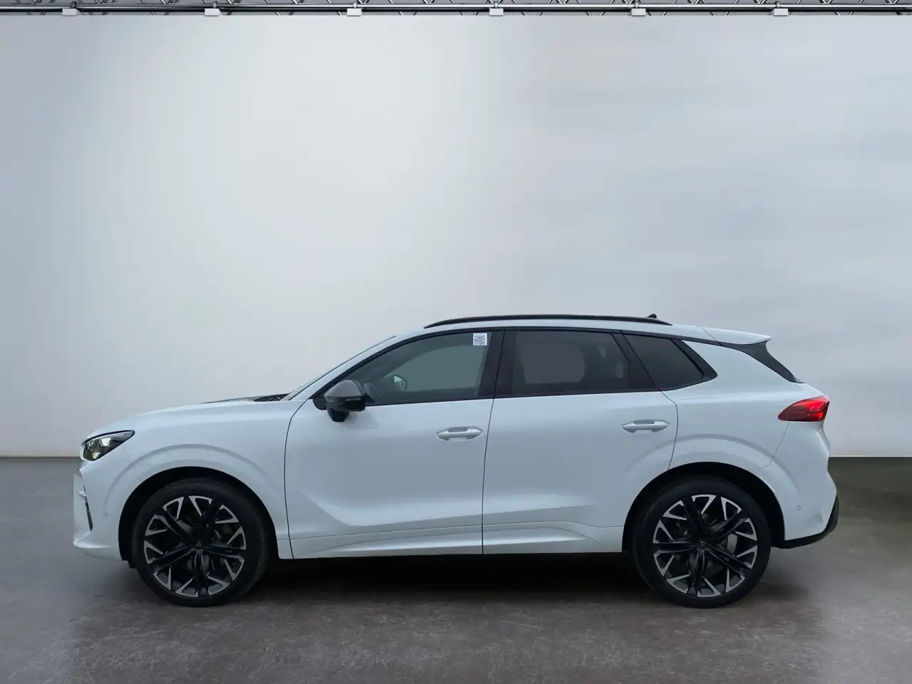 Cupra Terramar 2