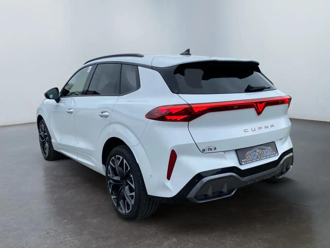 Cupra Terramar 3