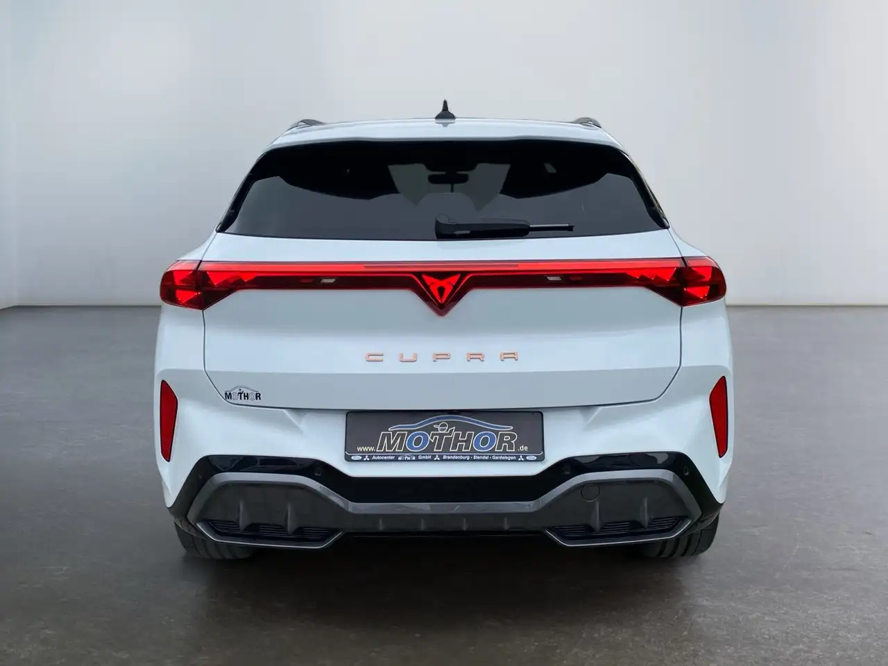 Cupra Terramar 4