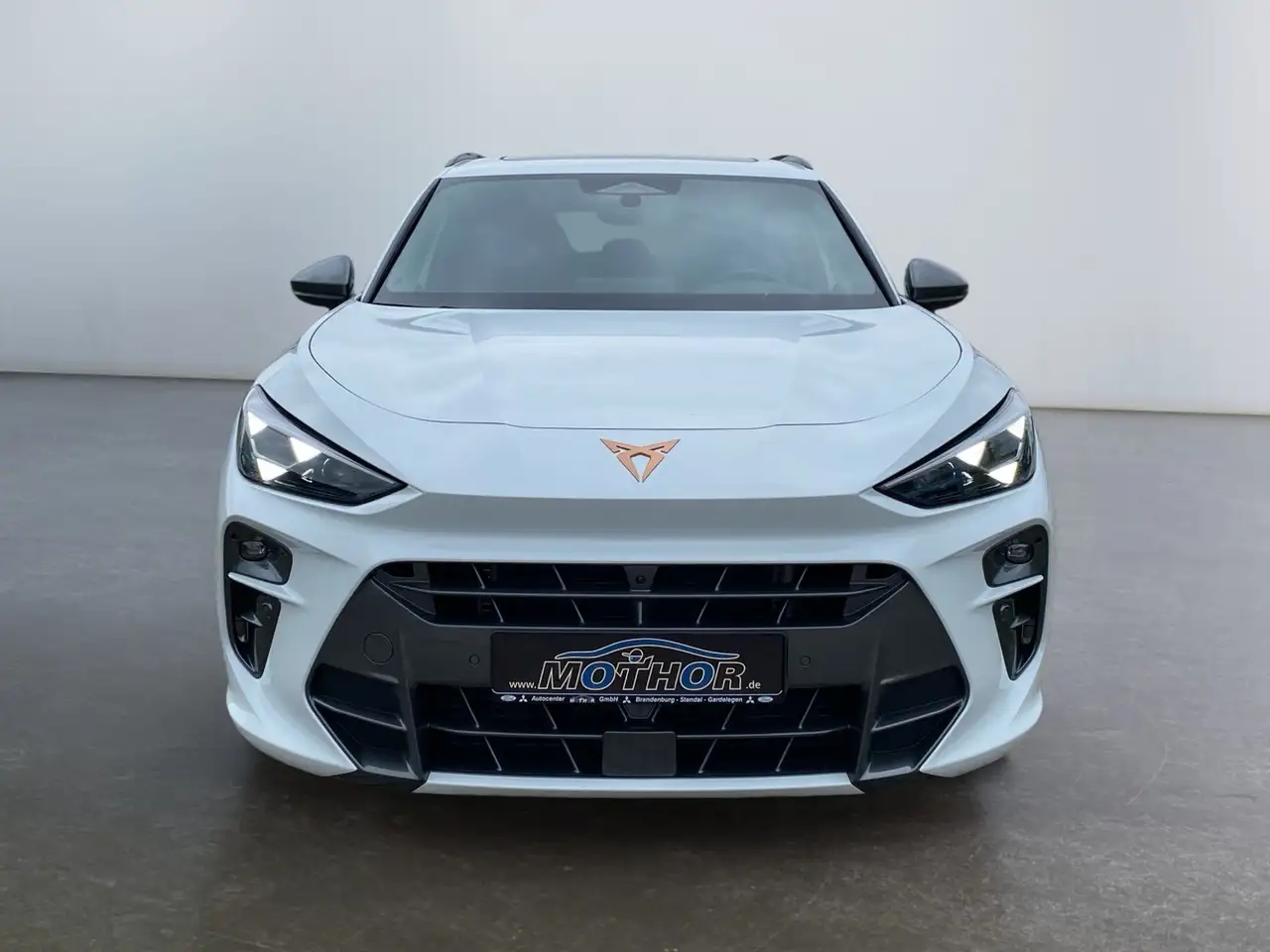 Cupra Terramar 5