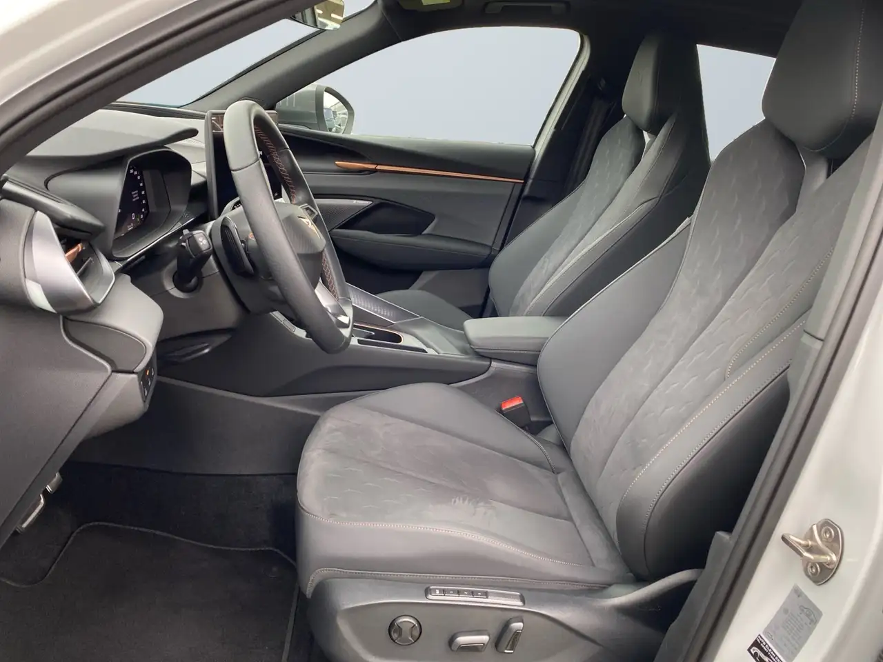 Cupra Terramar 6
