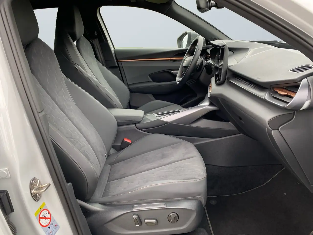 Cupra Terramar 9