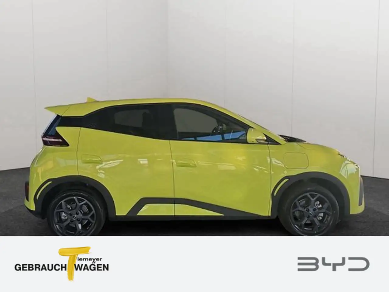 BYD Dolphin 3