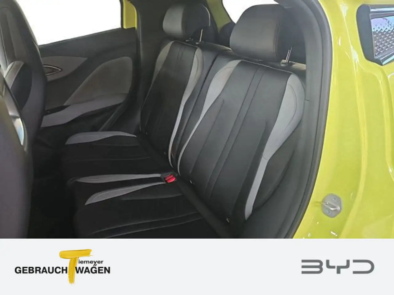 BYD Dolphin 10
