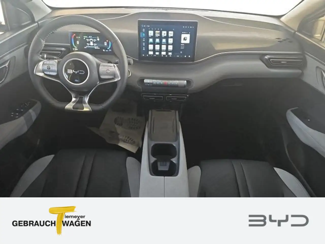 BYD Dolphin 11