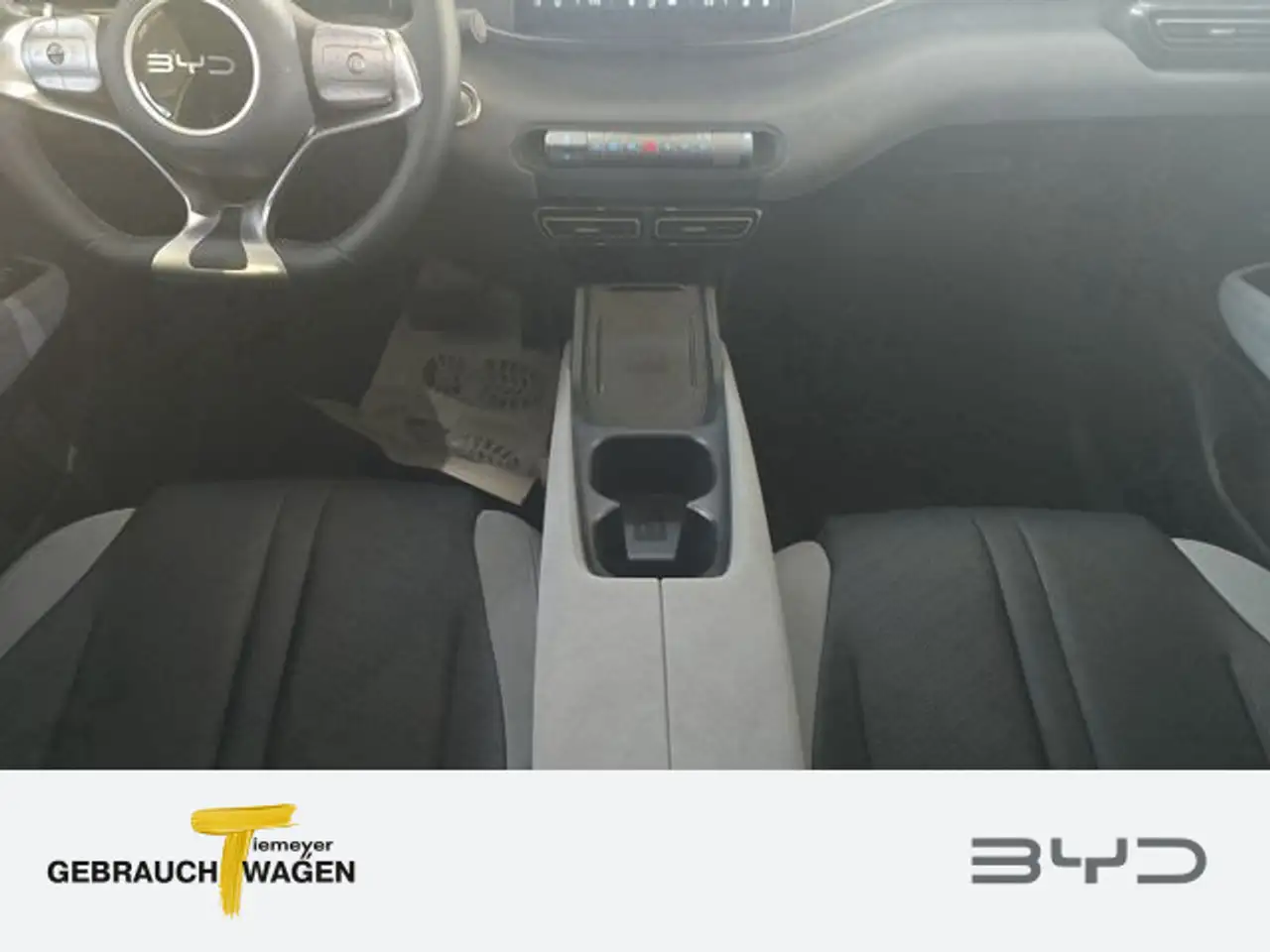 BYD Dolphin 12