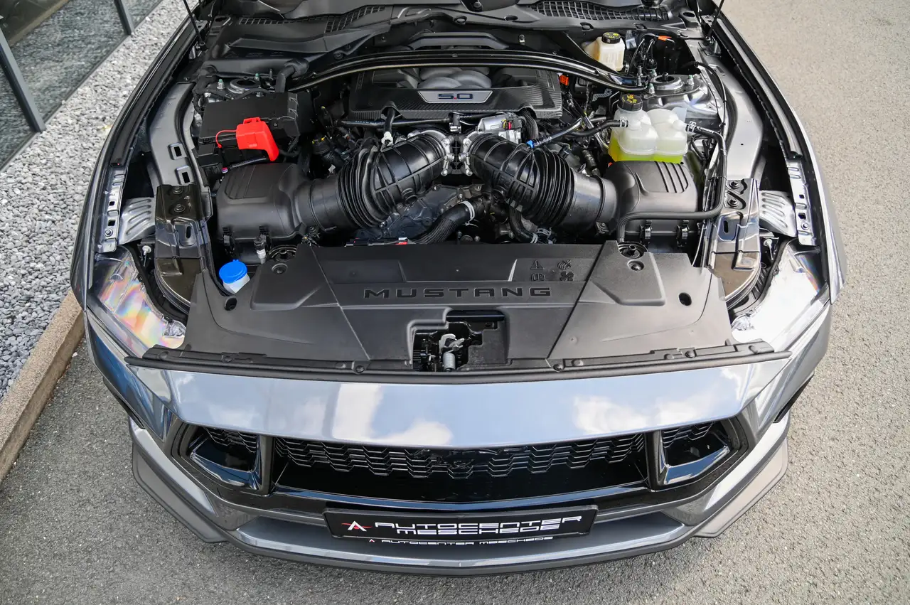 Ford Mustang 7