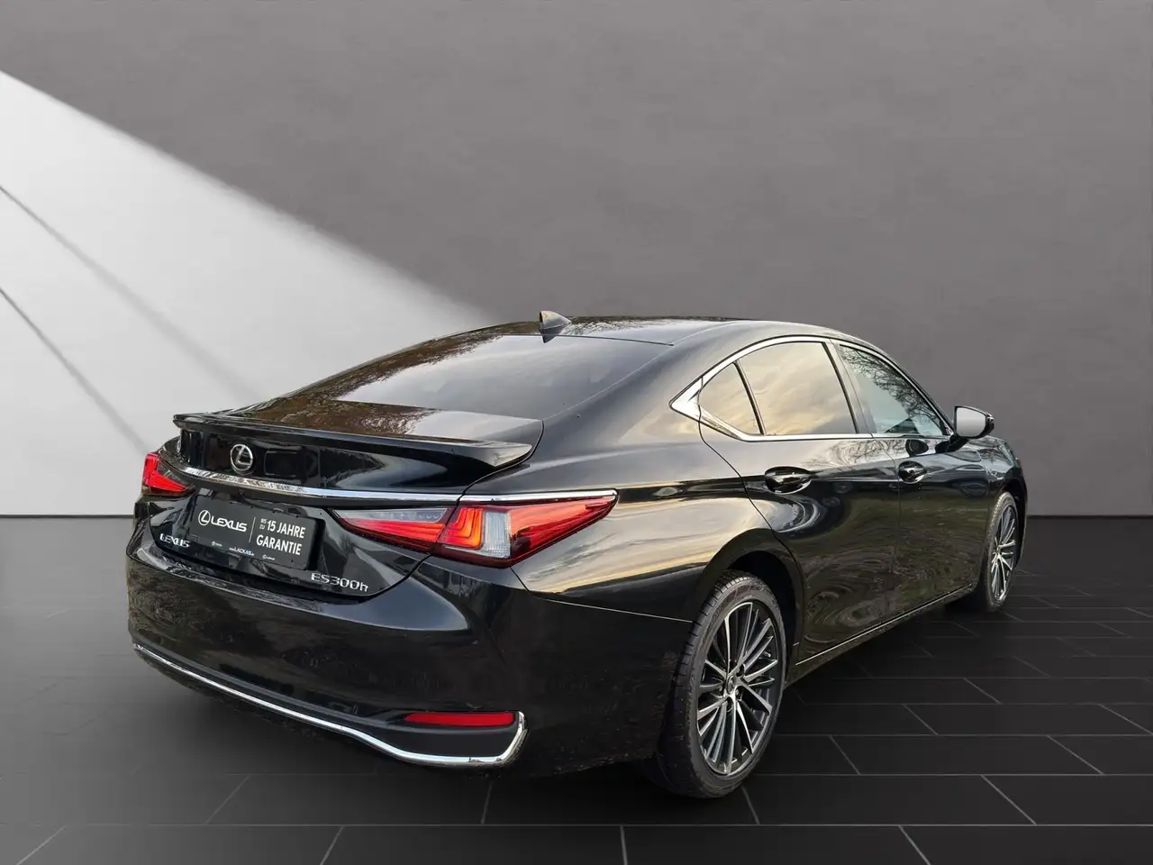 Lexus ES 300 5