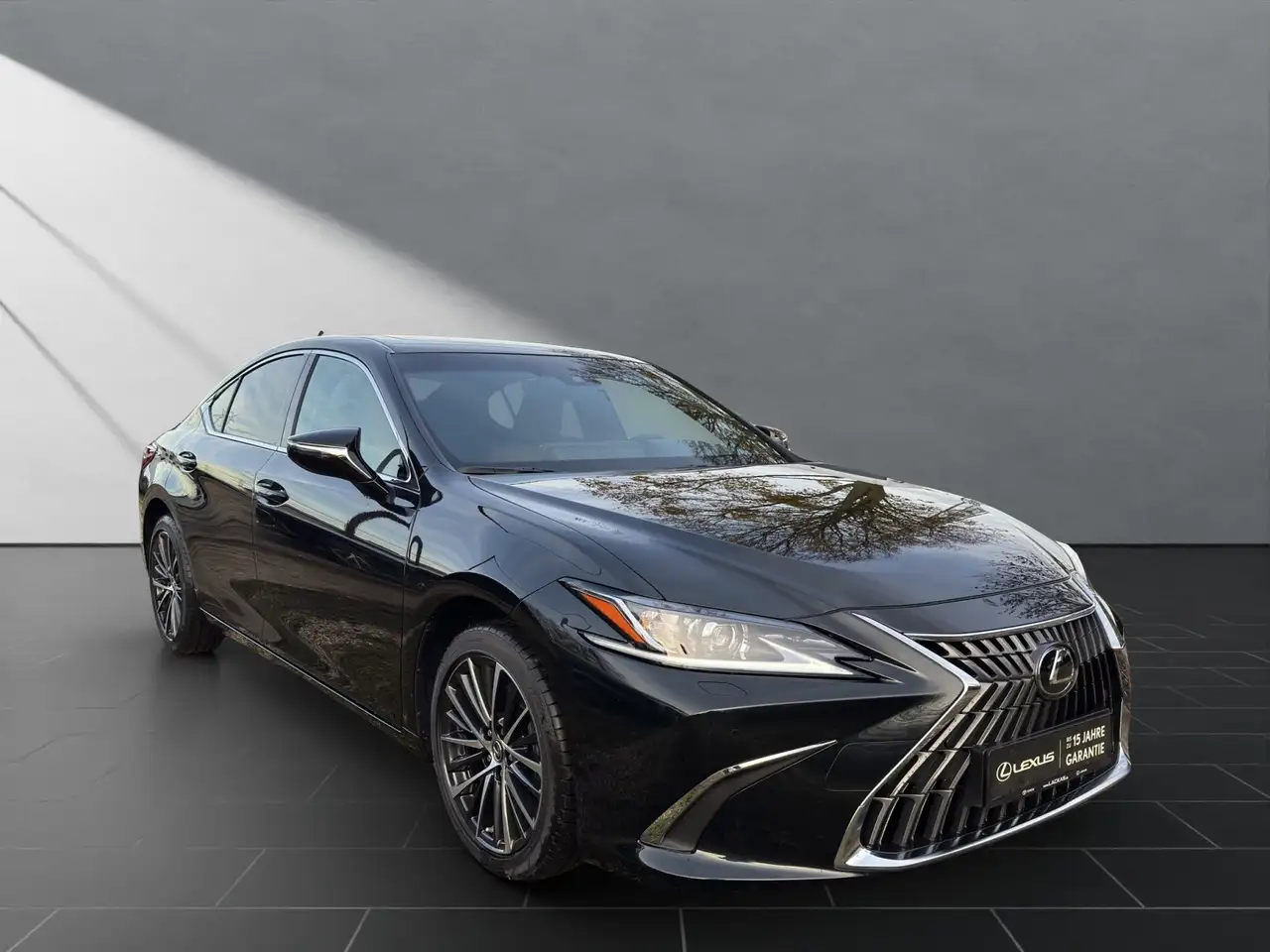 Lexus ES 300 7