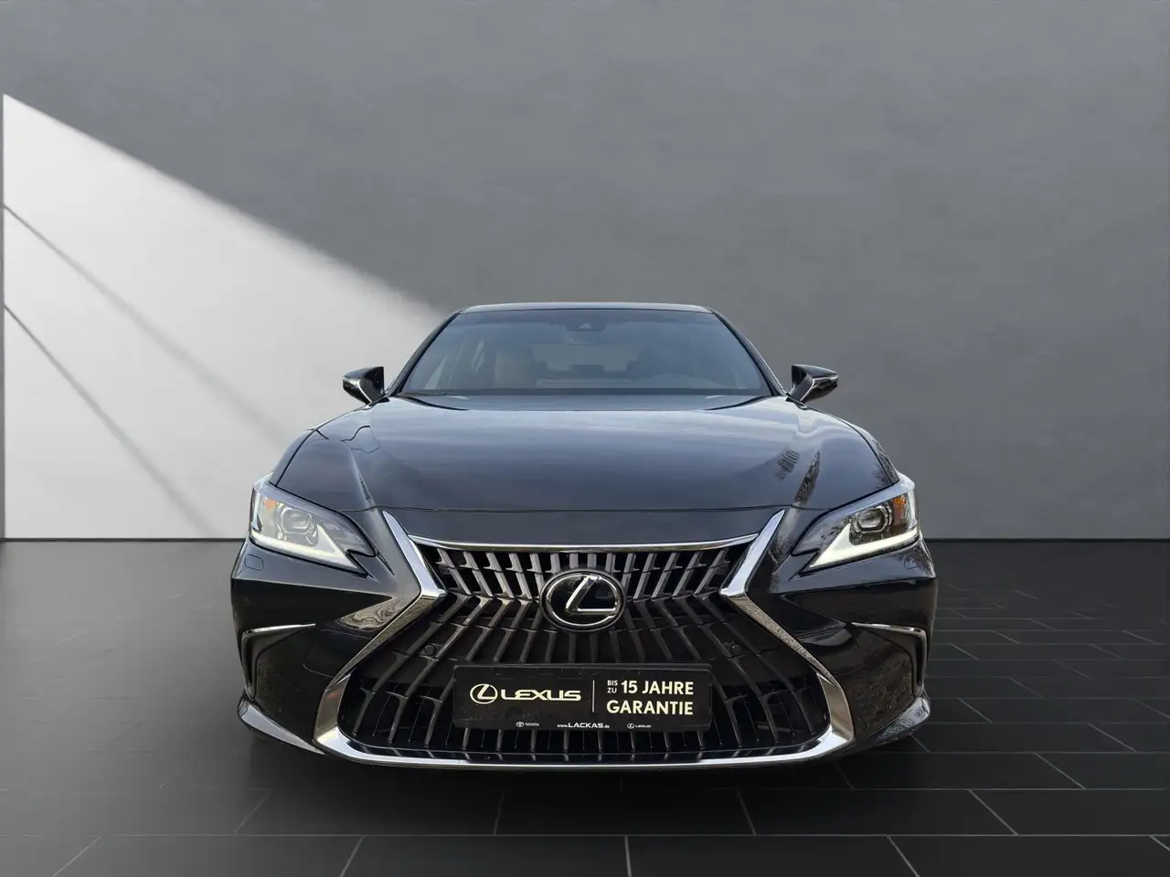 Lexus ES 300 8