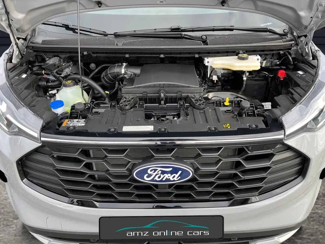 Ford Tourneo 9