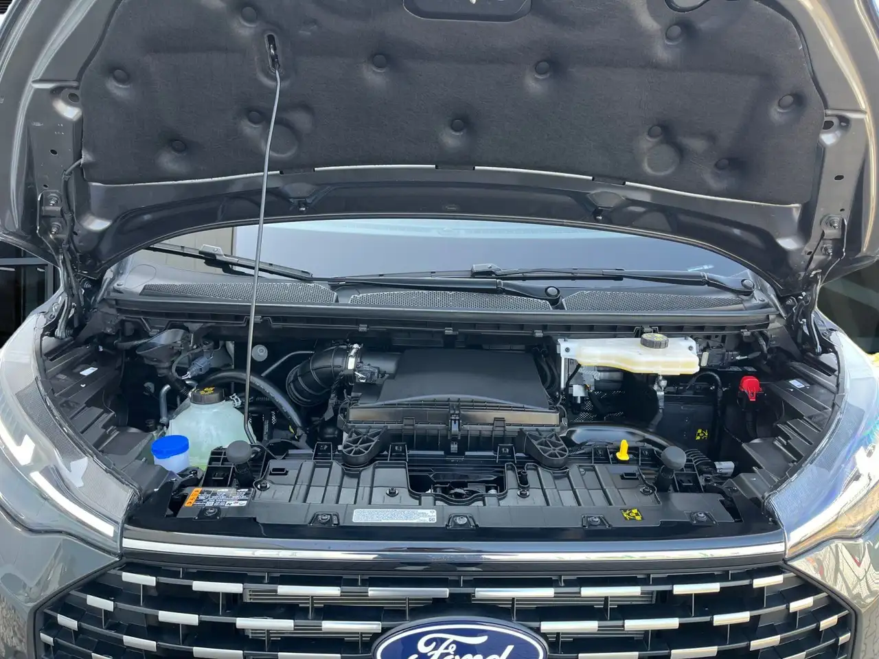 Ford Tourneo 9