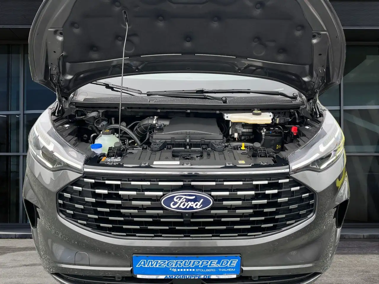 Ford Tourneo 9