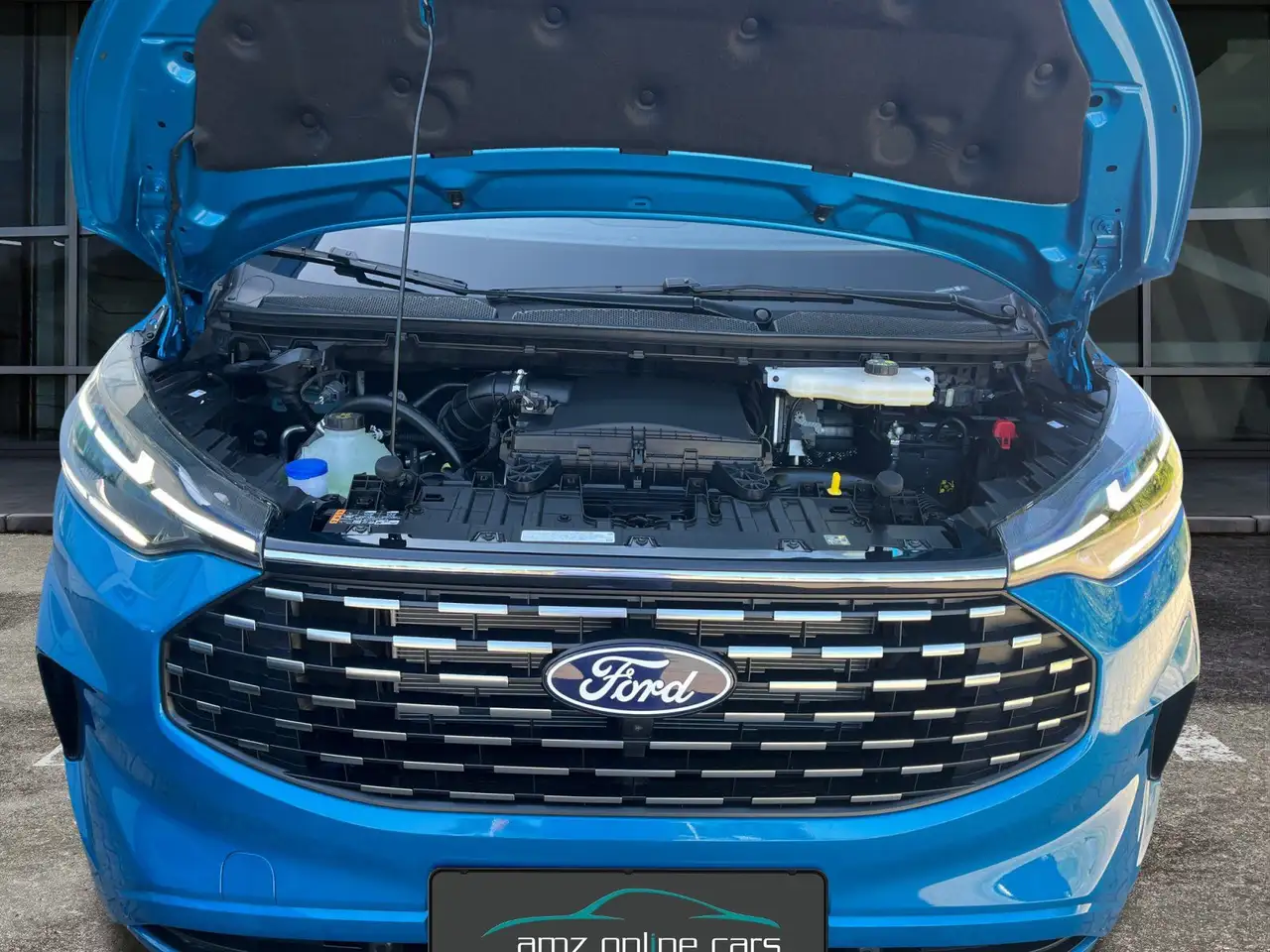 Ford Tourneo 9