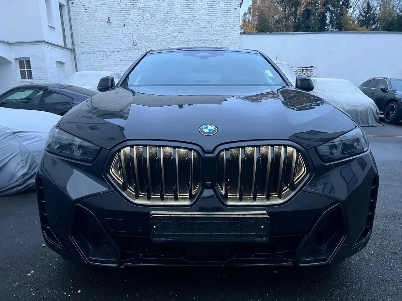 BMW X6 10
