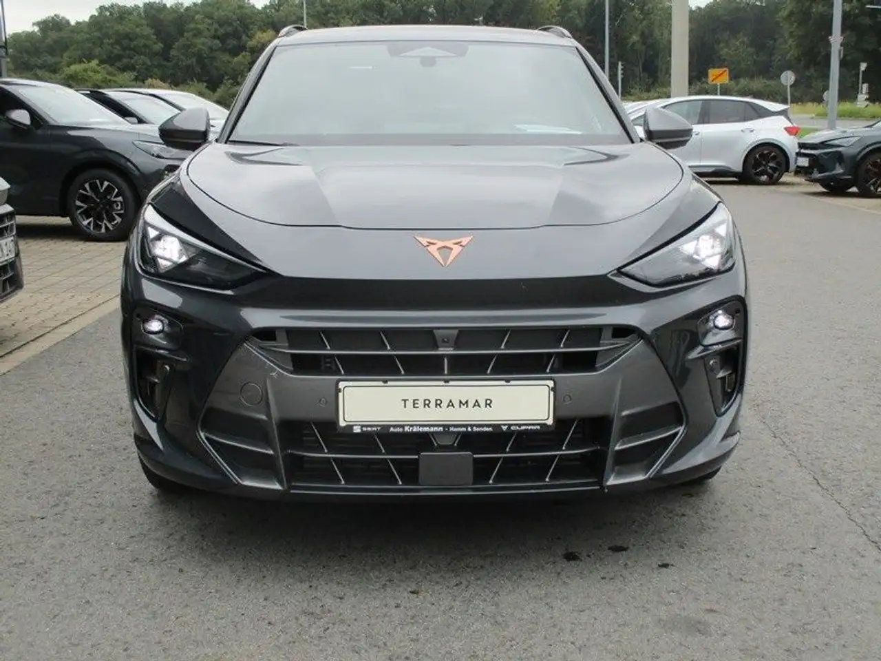 Cupra Terramar 5