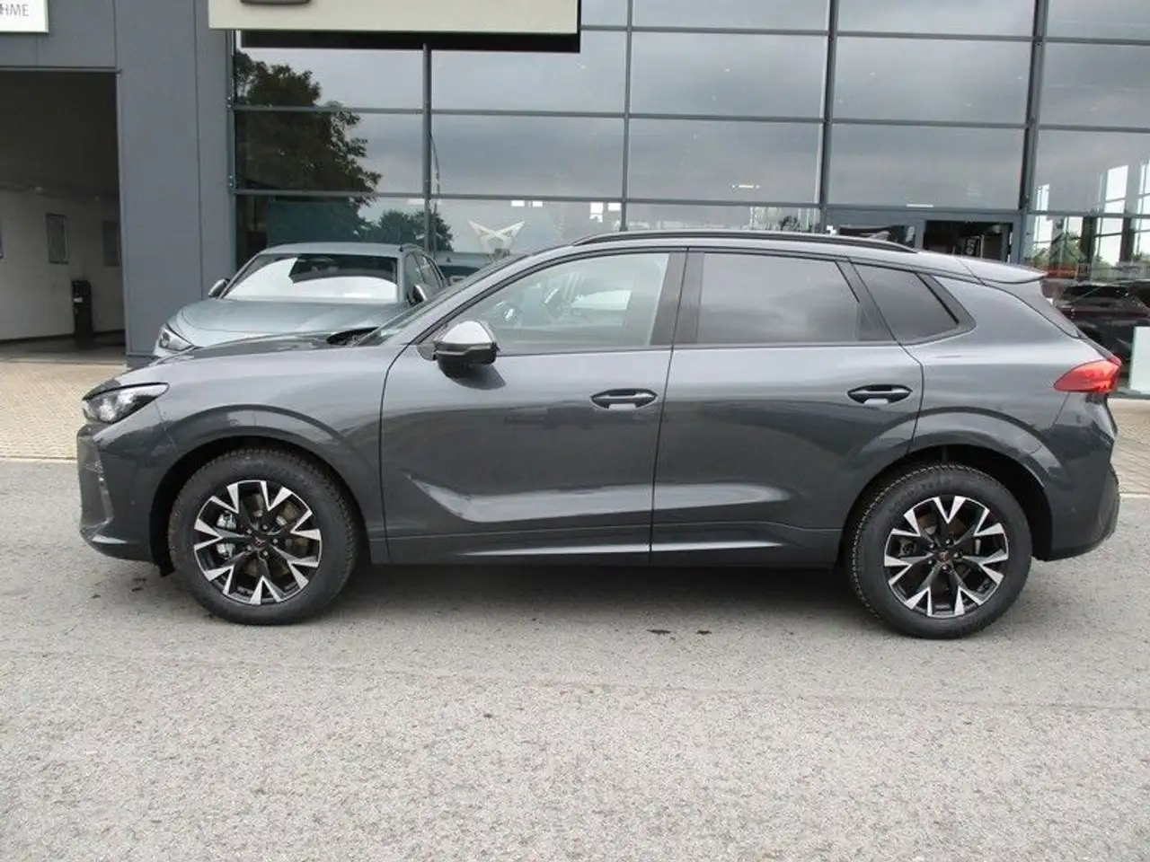 Cupra Terramar 6