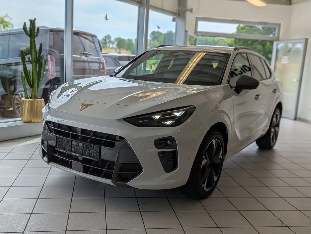 Cupra Terramar 3