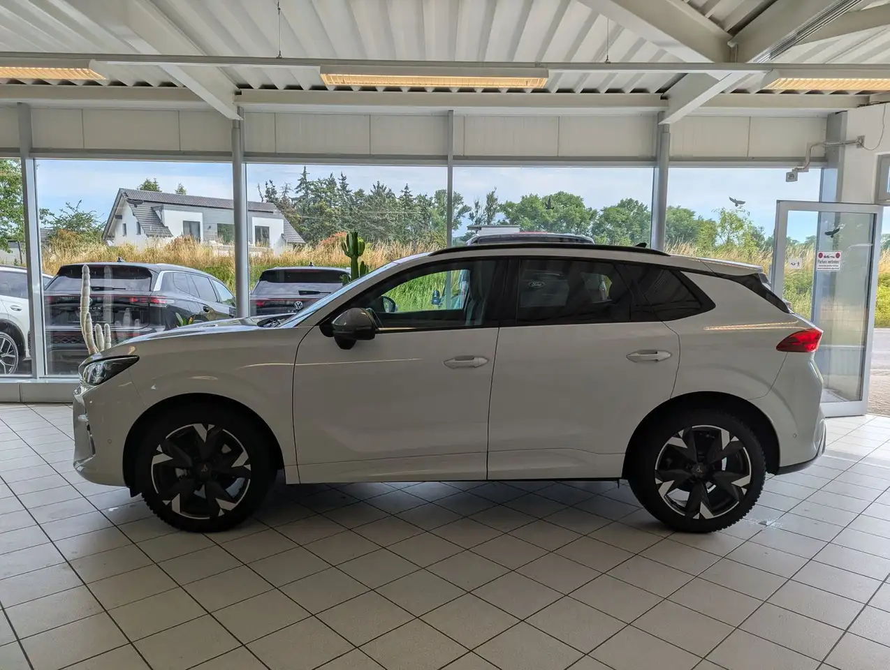 Cupra Terramar 4