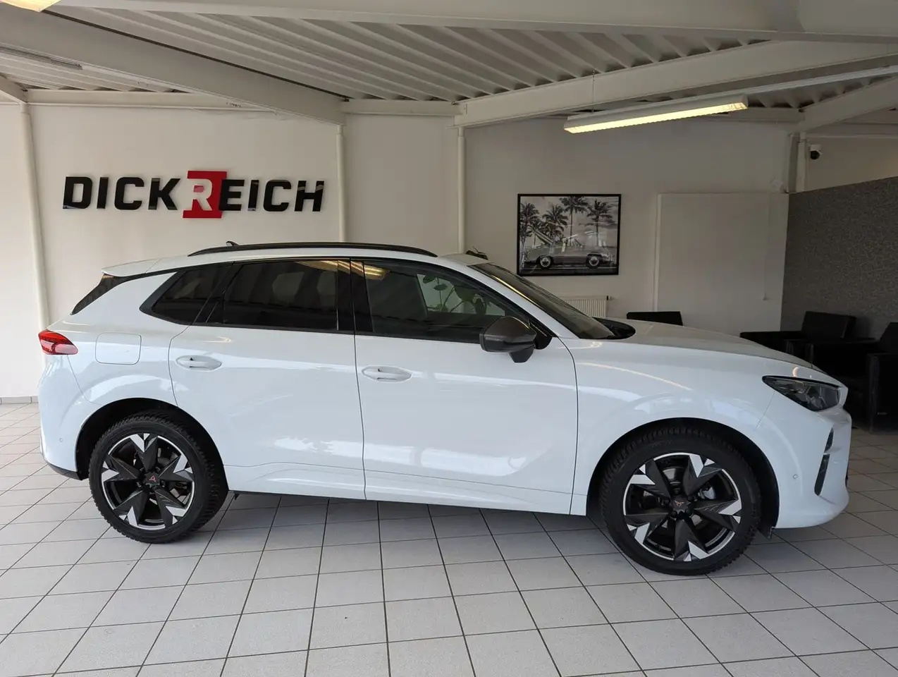 Cupra Terramar 8