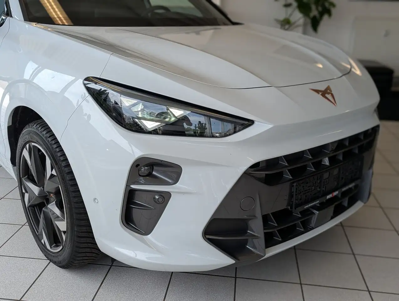 Cupra Terramar 9