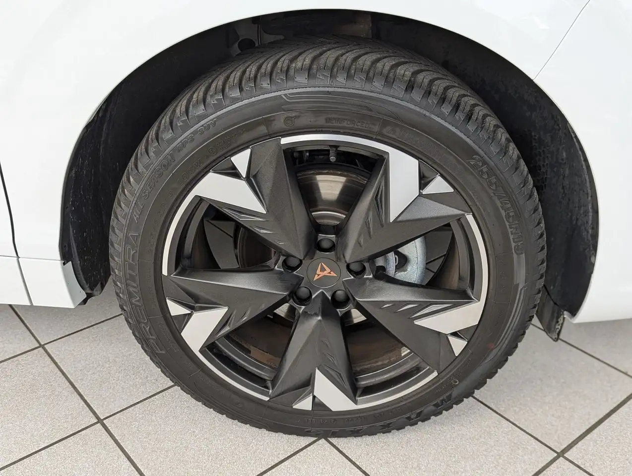 Cupra Terramar 10