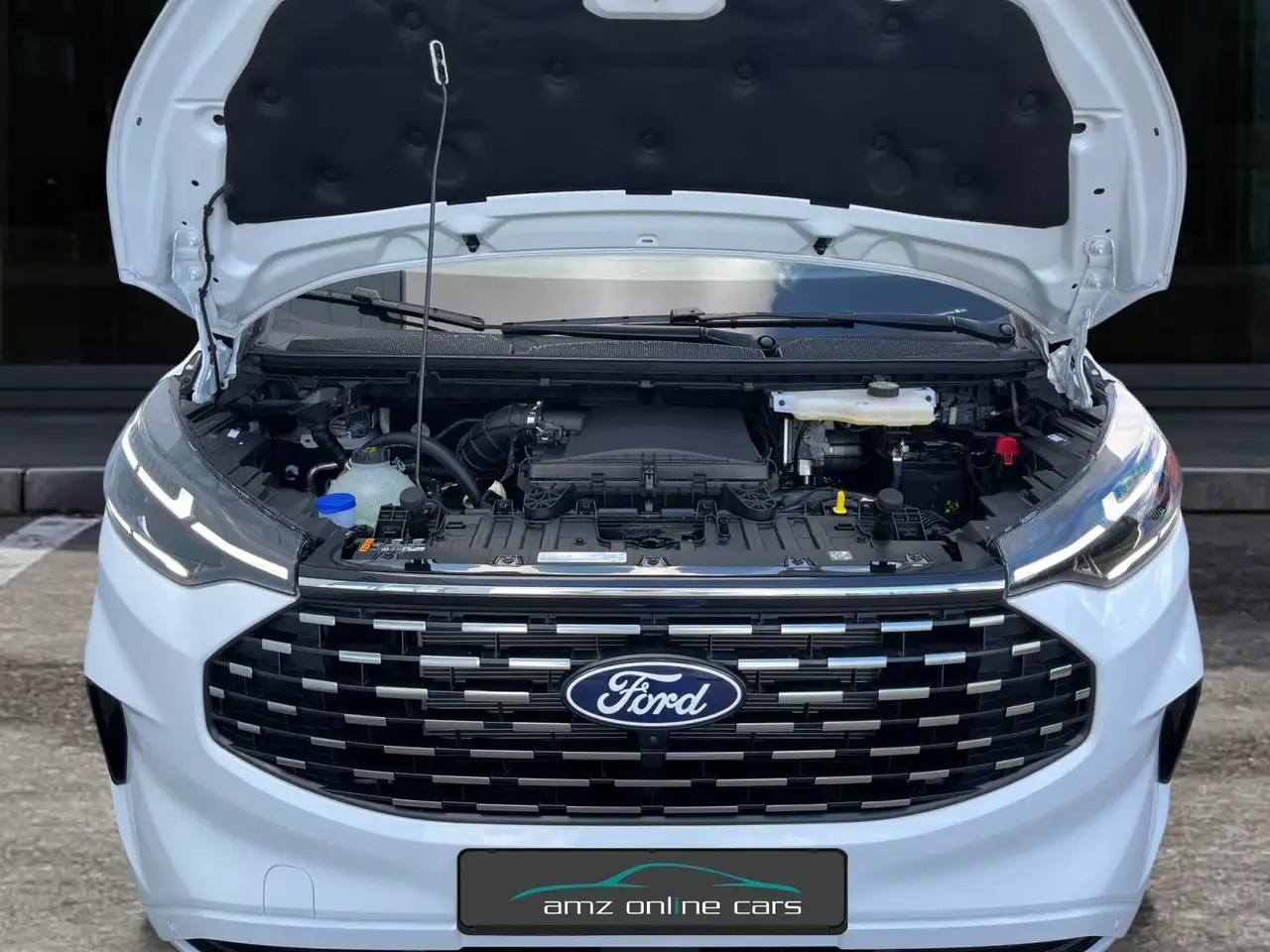 Ford Tourneo 9