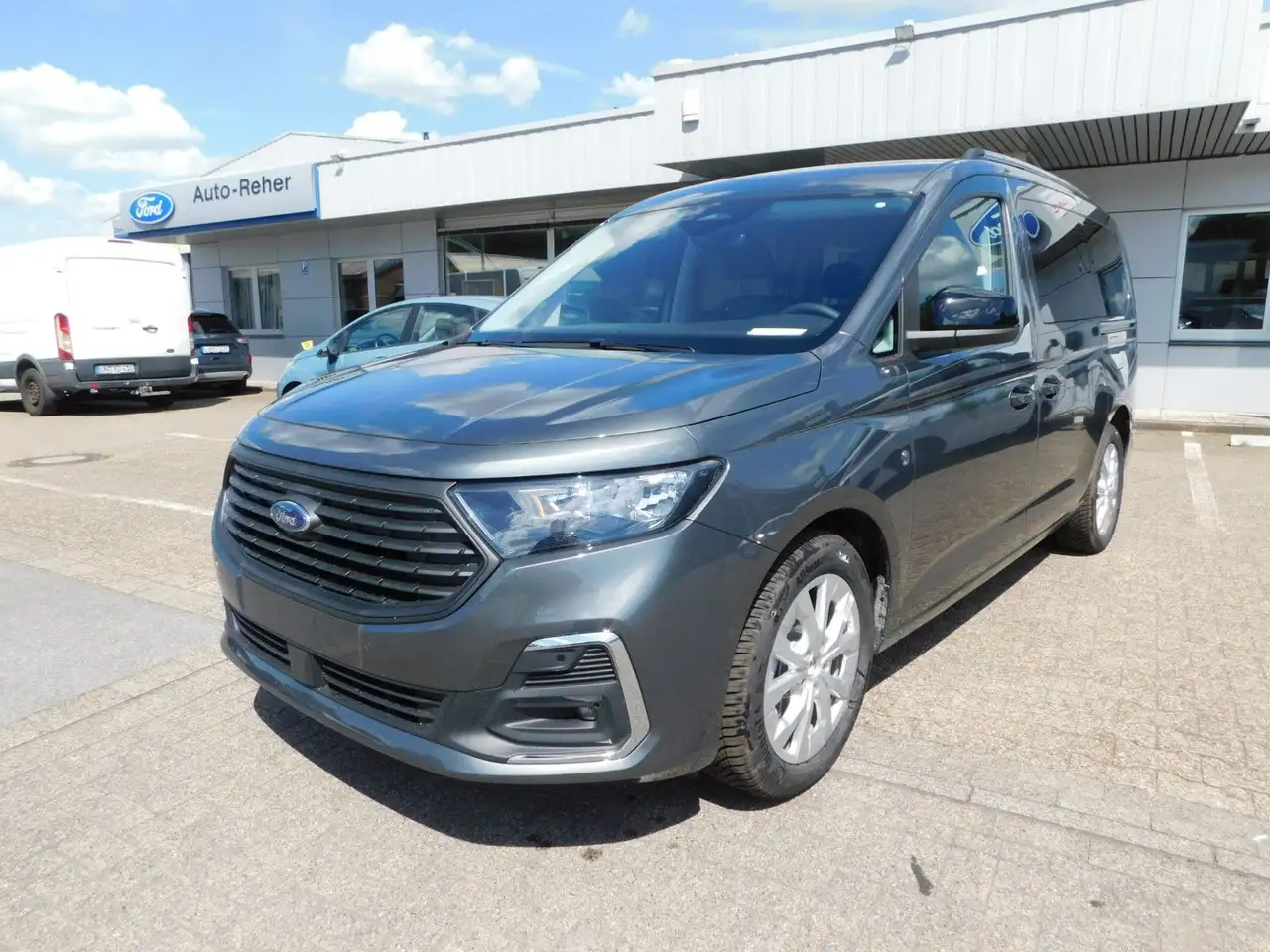 Ford Tourneo 3