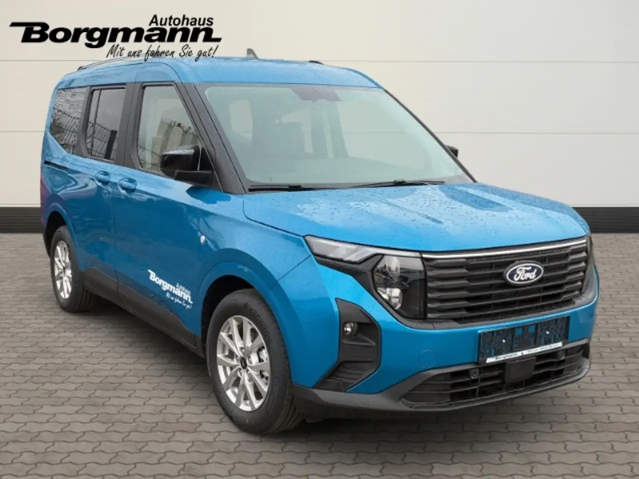 Ford Tourneo 3