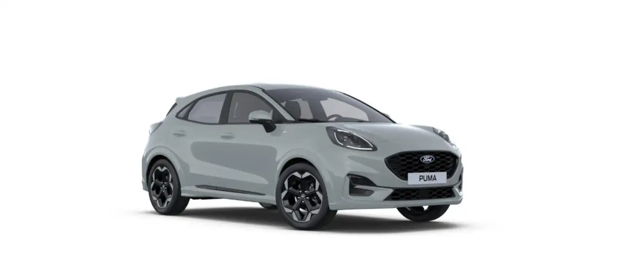 Ford Puma 12