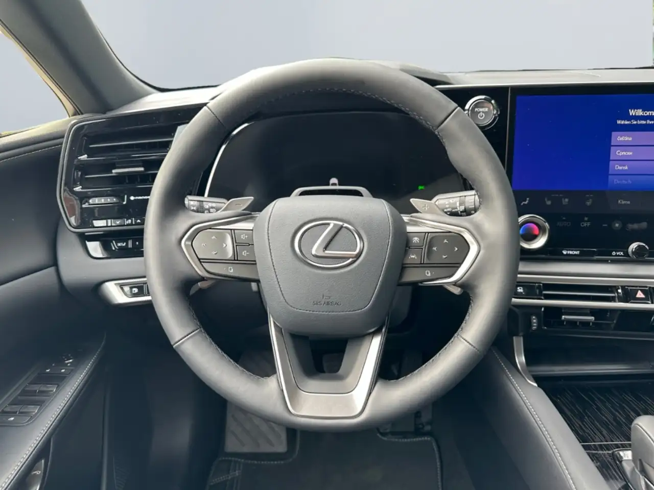 Lexus RX 12