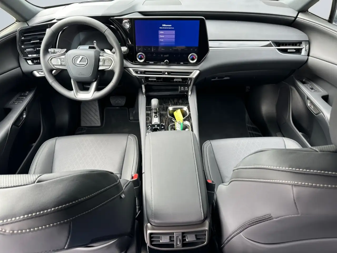 Lexus RX 13