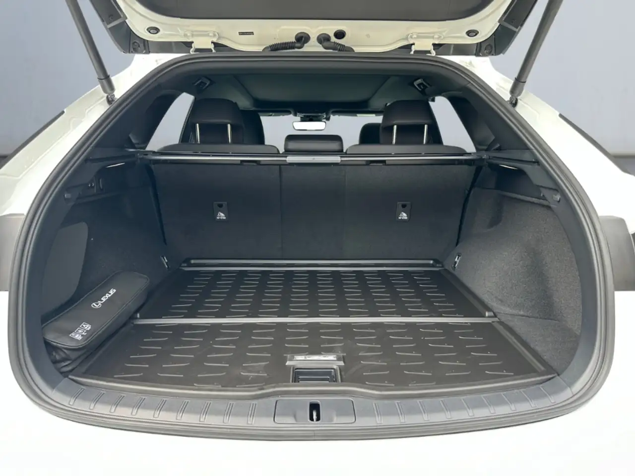 Lexus RX 15