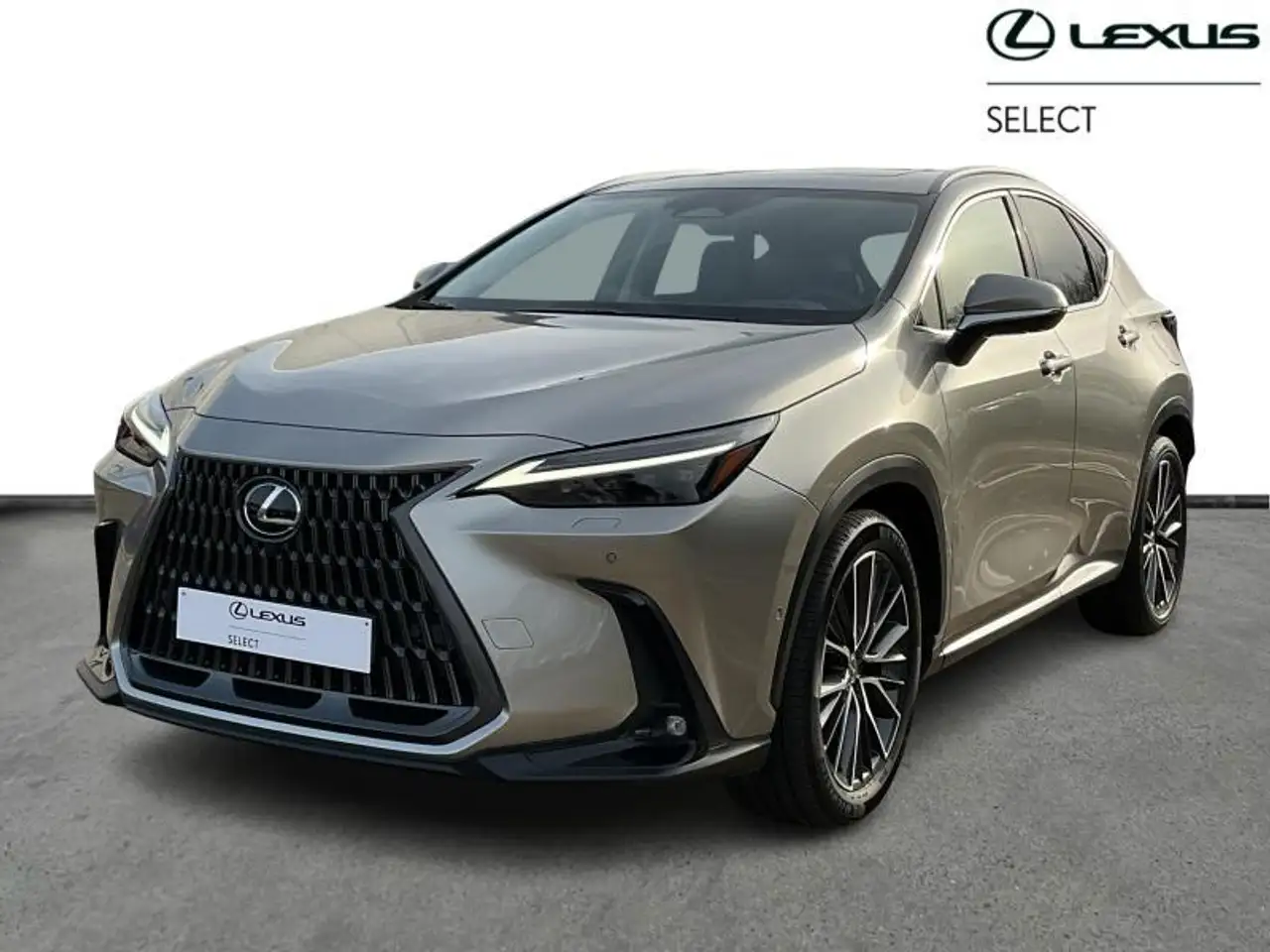 Lexus NX 450h+ Privilege Line PHEV