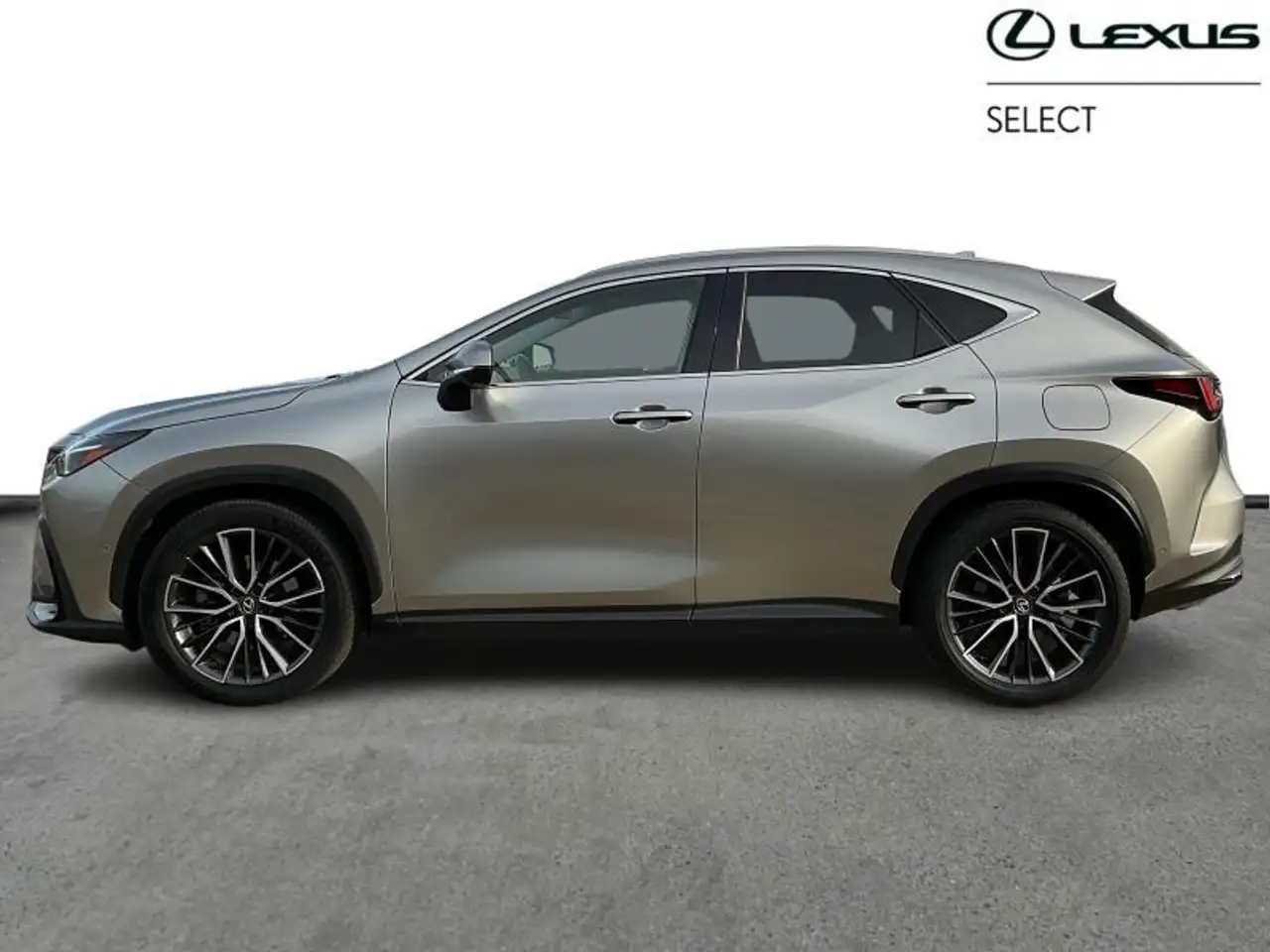 Lexus NX 3