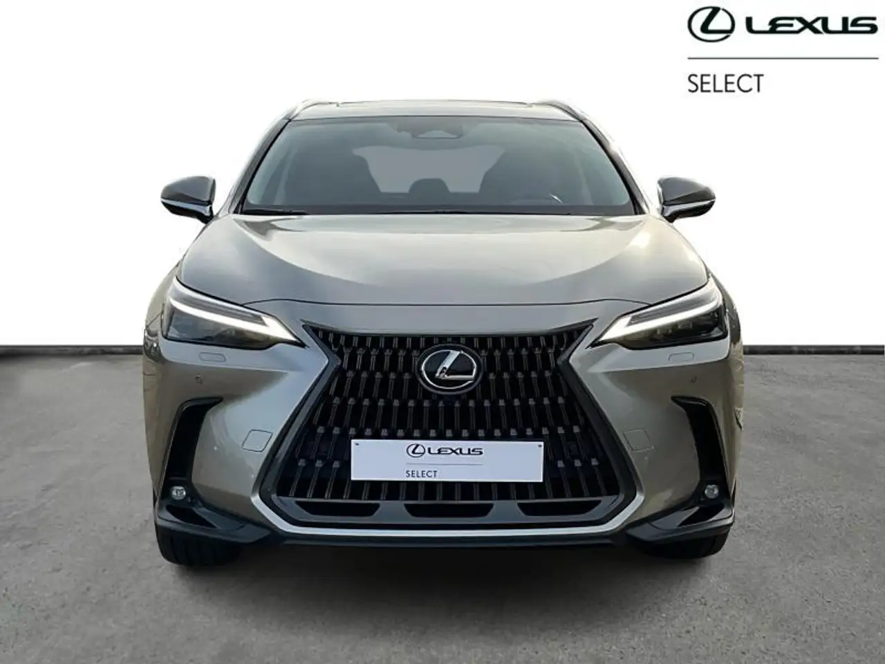 Lexus NX 5