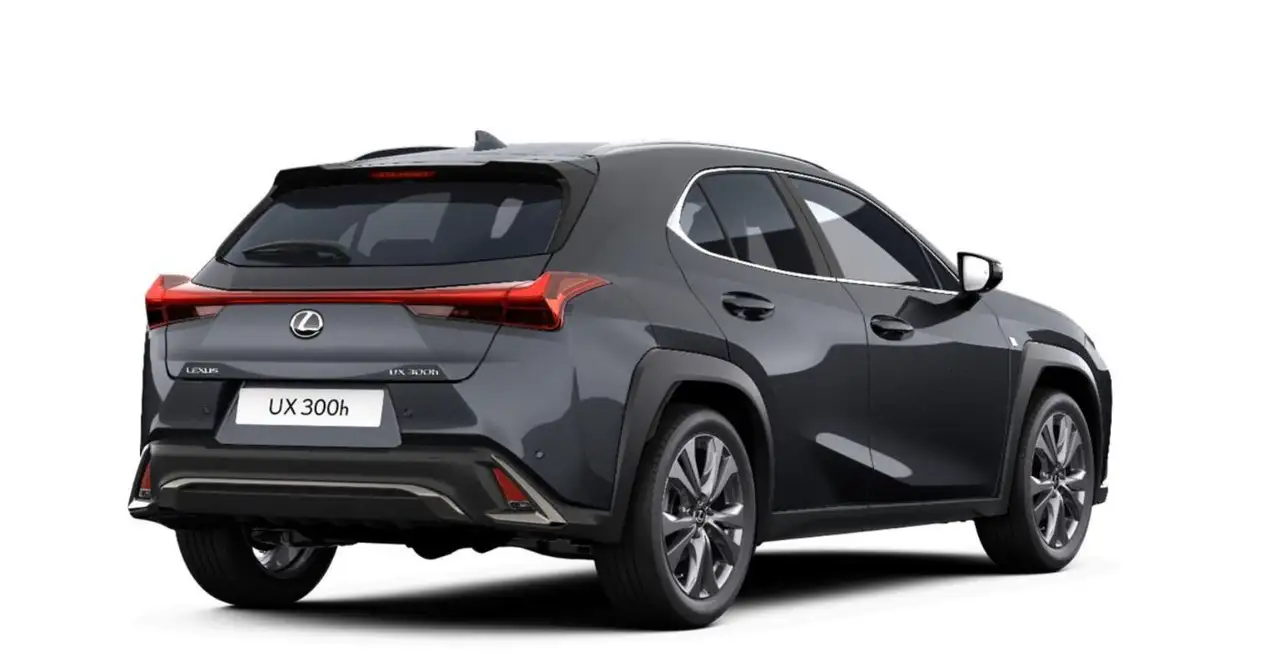 Lexus UX 6