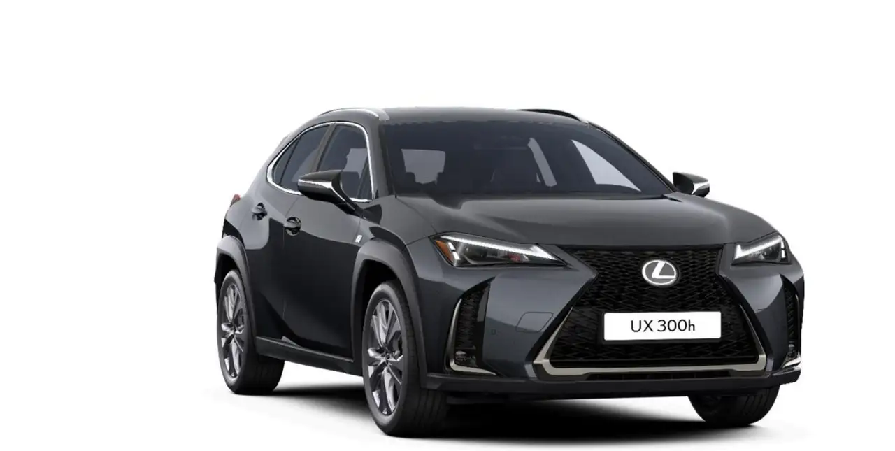 Lexus UX 8