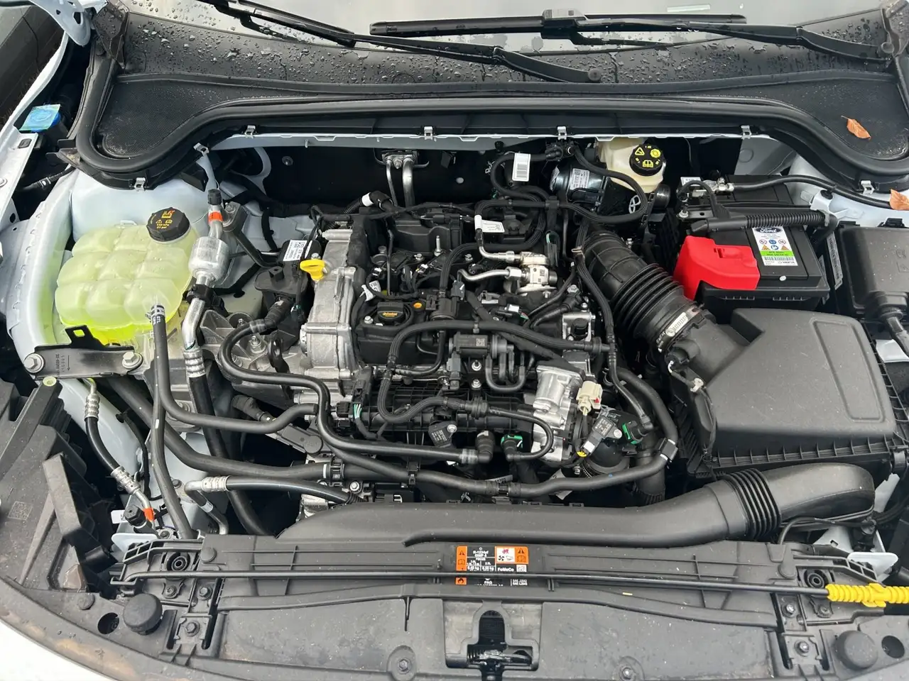 Ford Focus 16