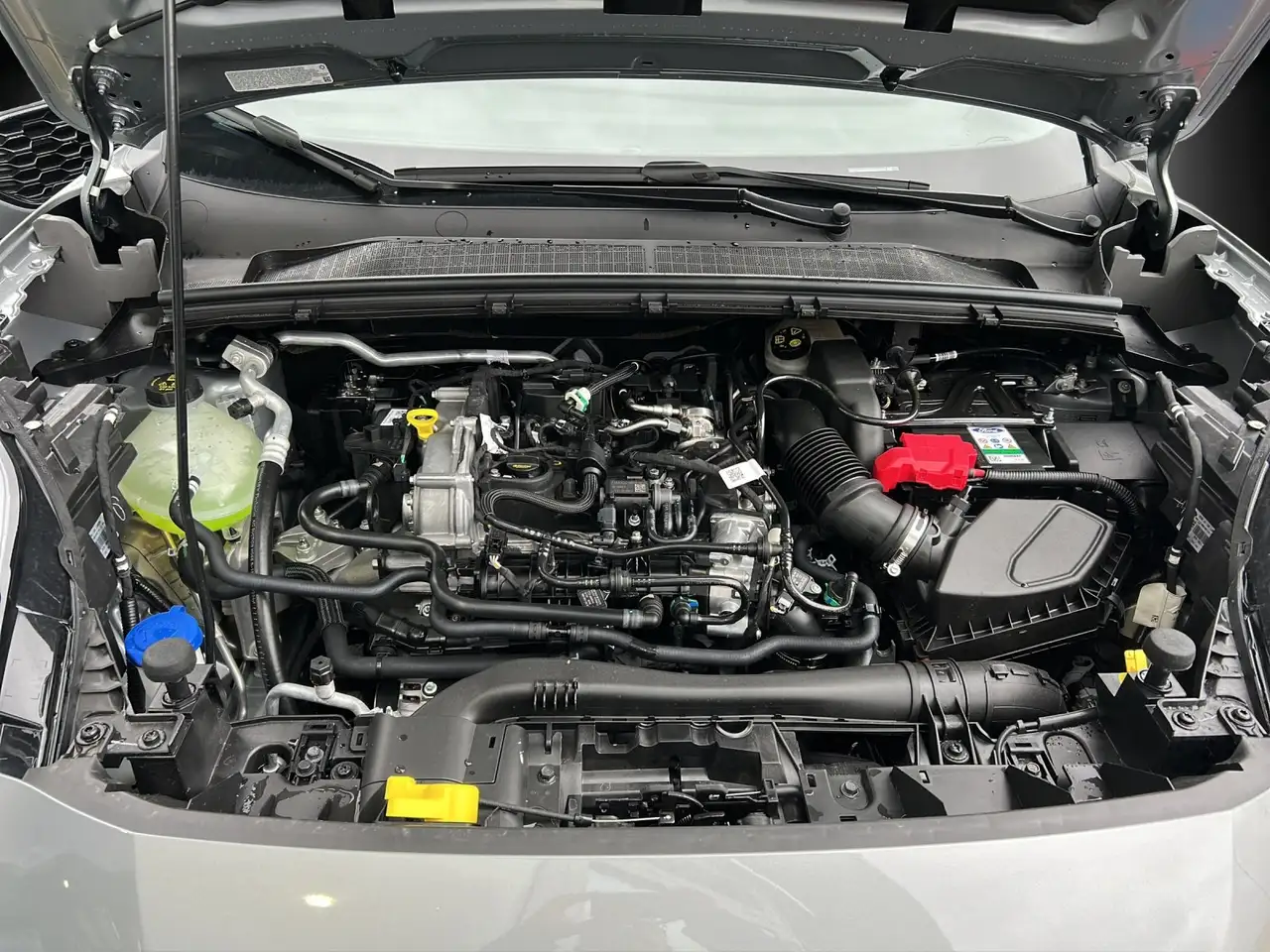 Ford Puma 16