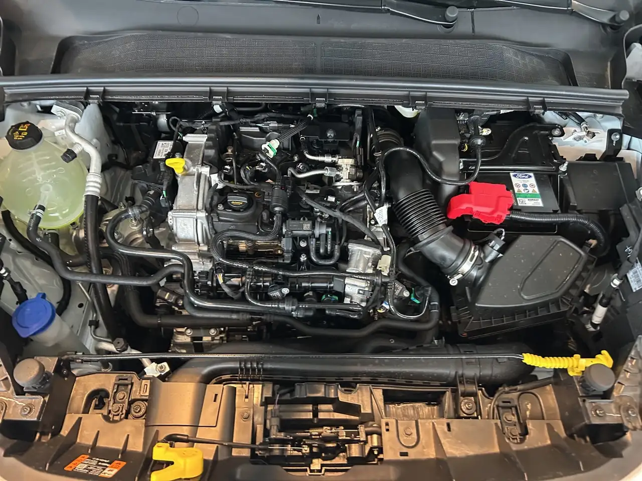Ford Puma 16