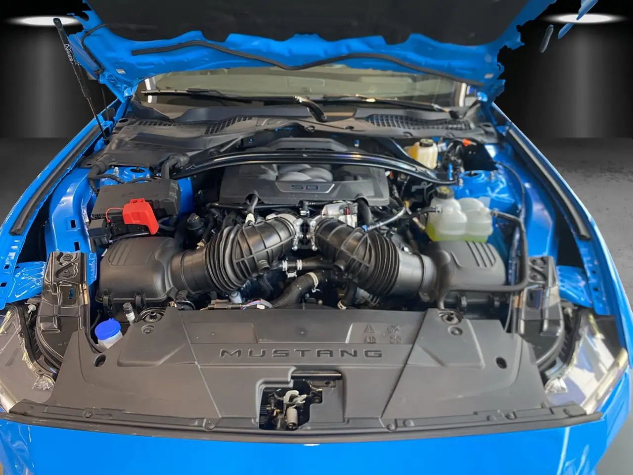 Ford Mustang 16