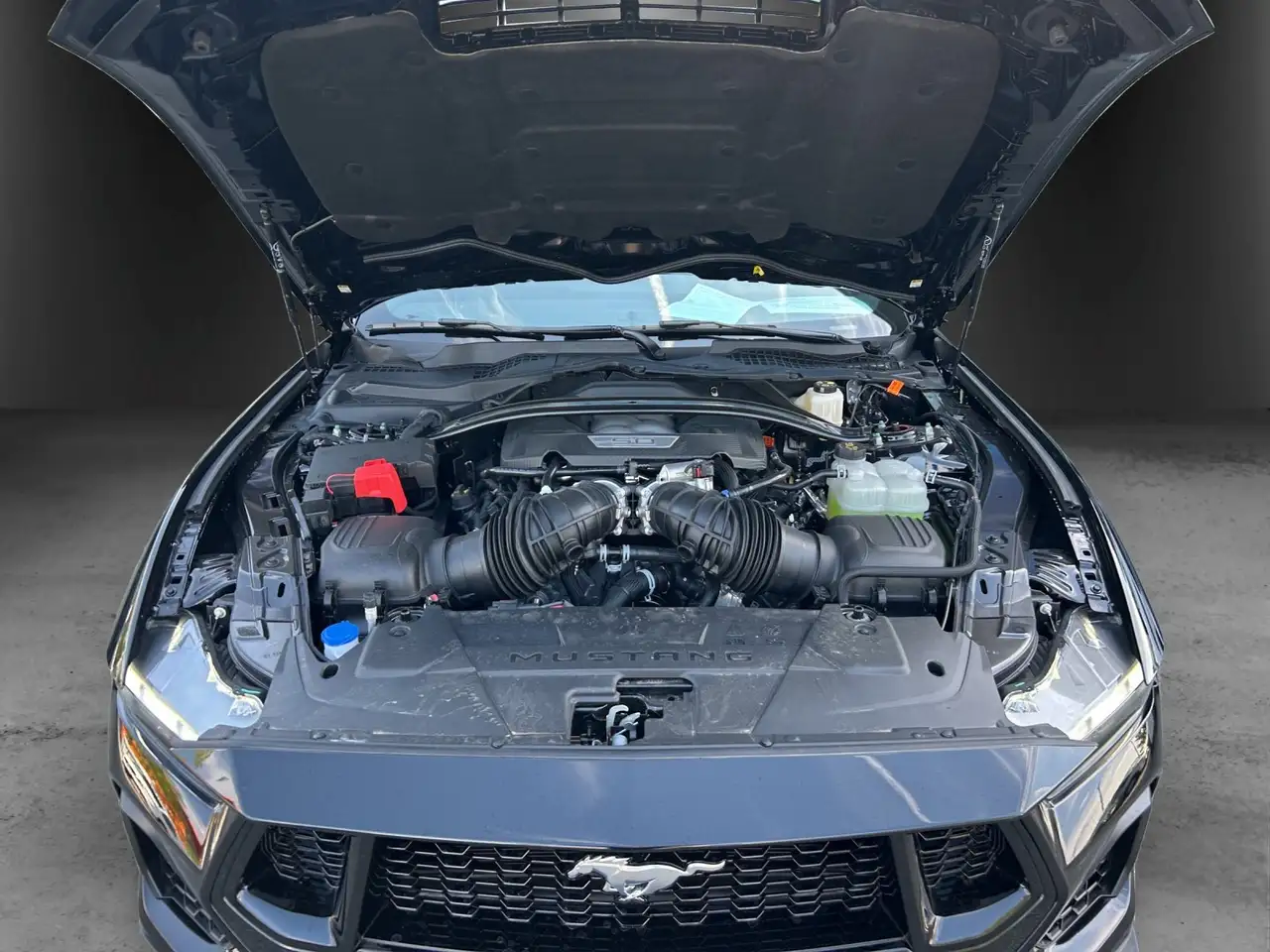 Ford Mustang 16