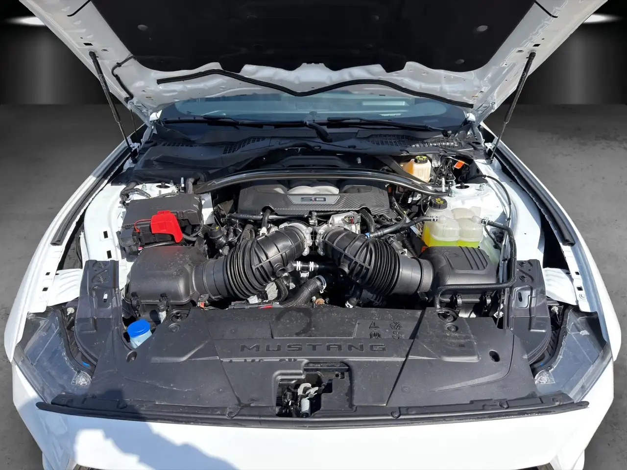 Ford Mustang 15
