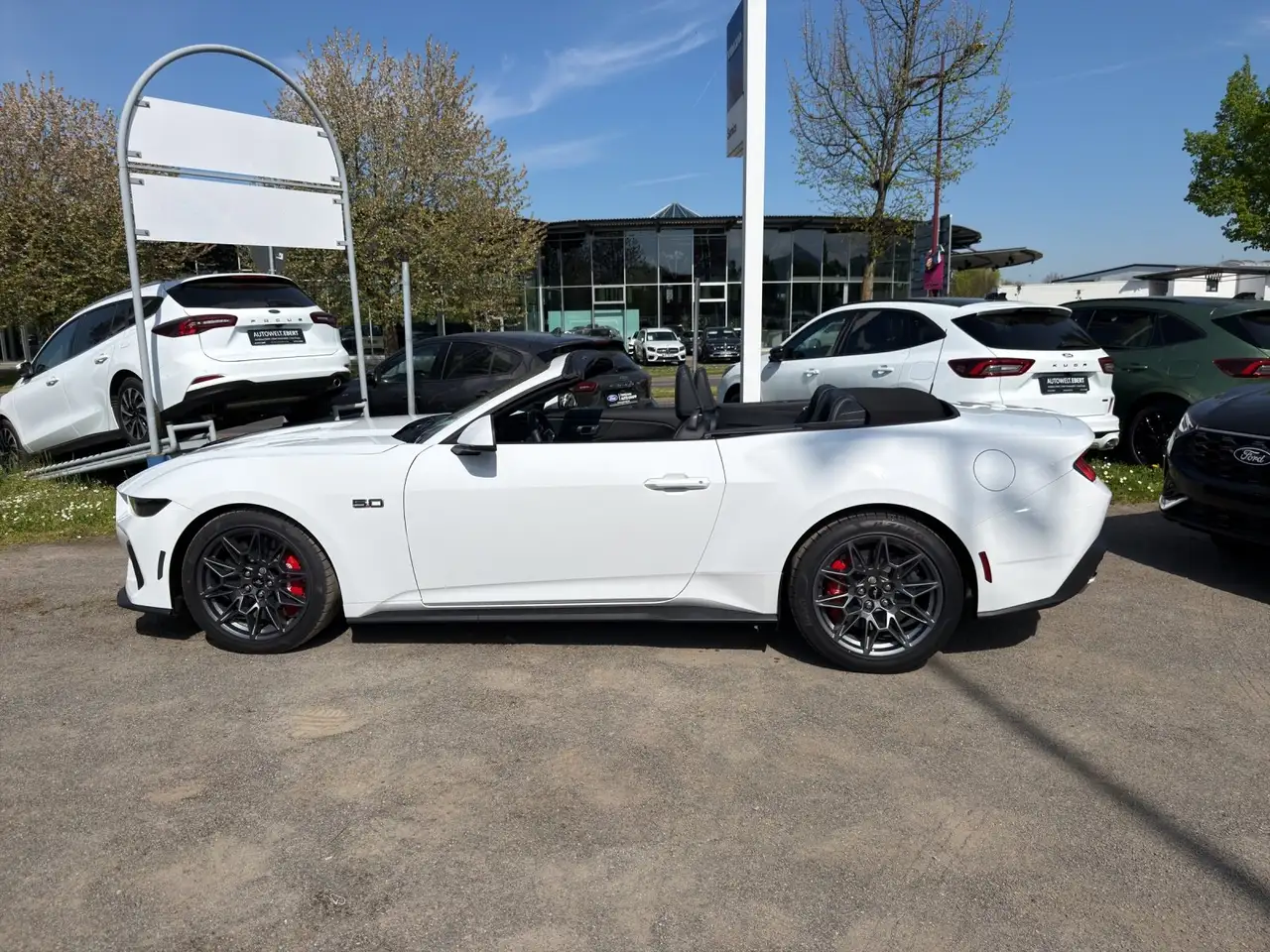 Ford Mustang 16