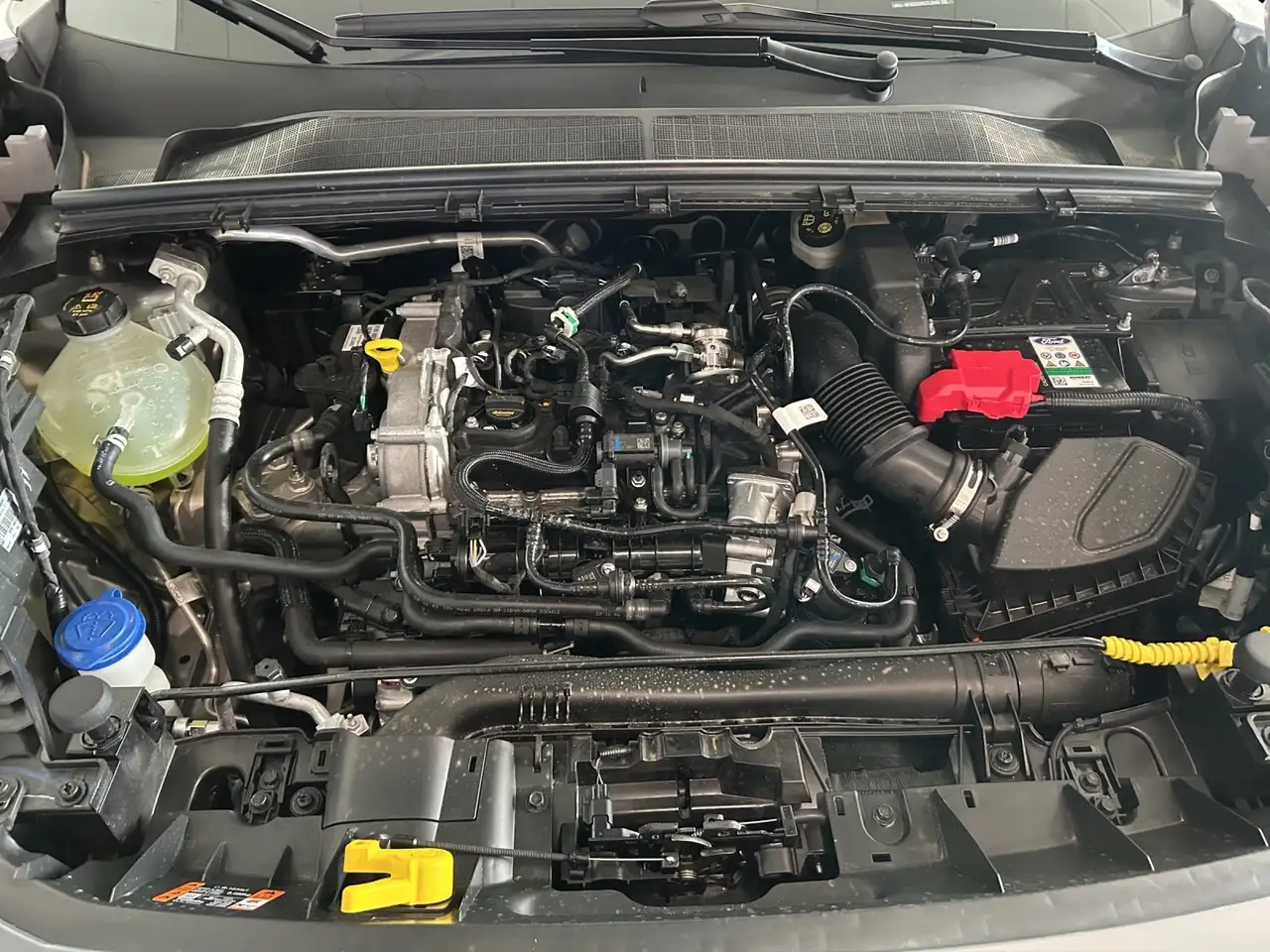 Ford Puma 16