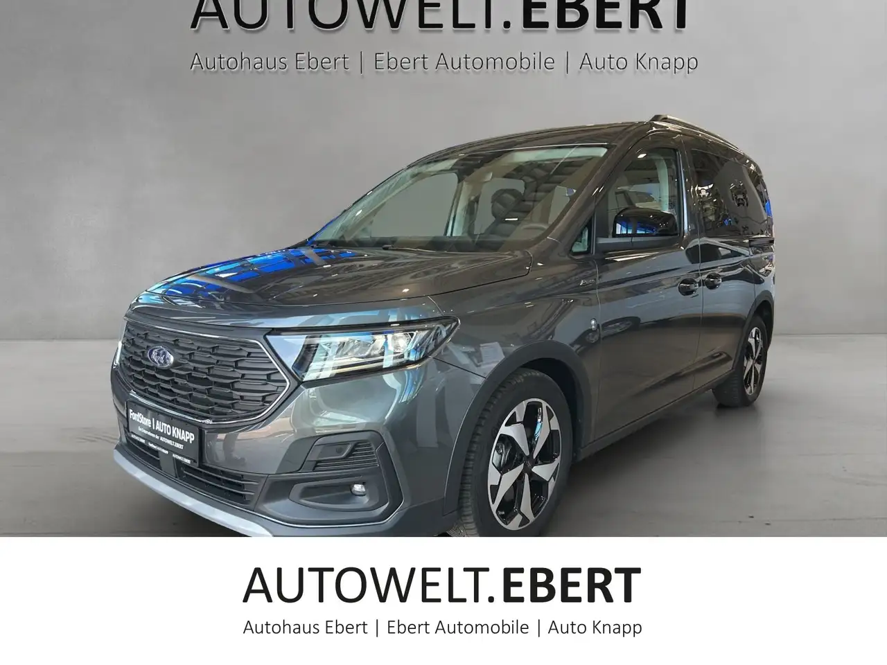 Ford Tourneo