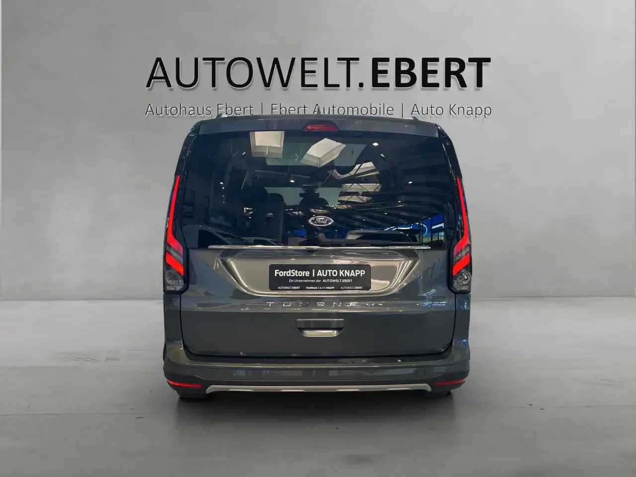 Ford Tourneo 3